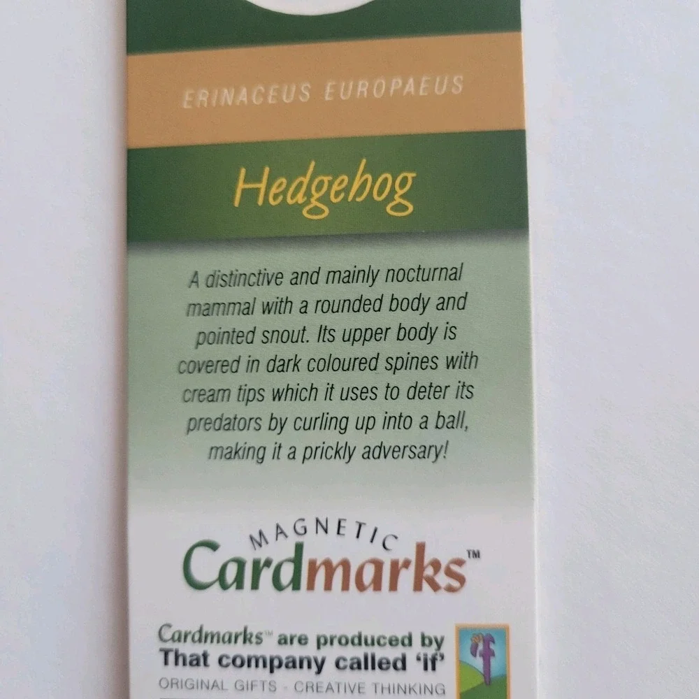 Cardmarks Hedgehog Nature Animal Info Magnetic Magnet UK Company If 2408 Y2k 00s